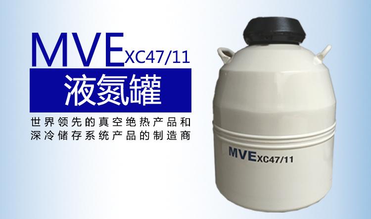 MVE进口液氮罐 XC 47/11-10 全国销售